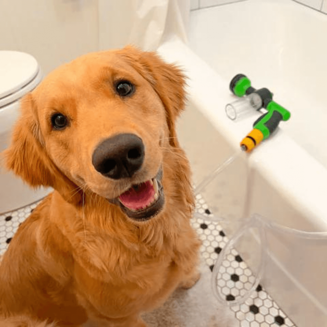 Pet Jet™ | Pistola de esguicho com dispenser
