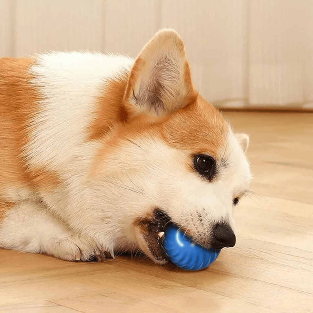 Turbo Ball™ | Bolinha eletrônica