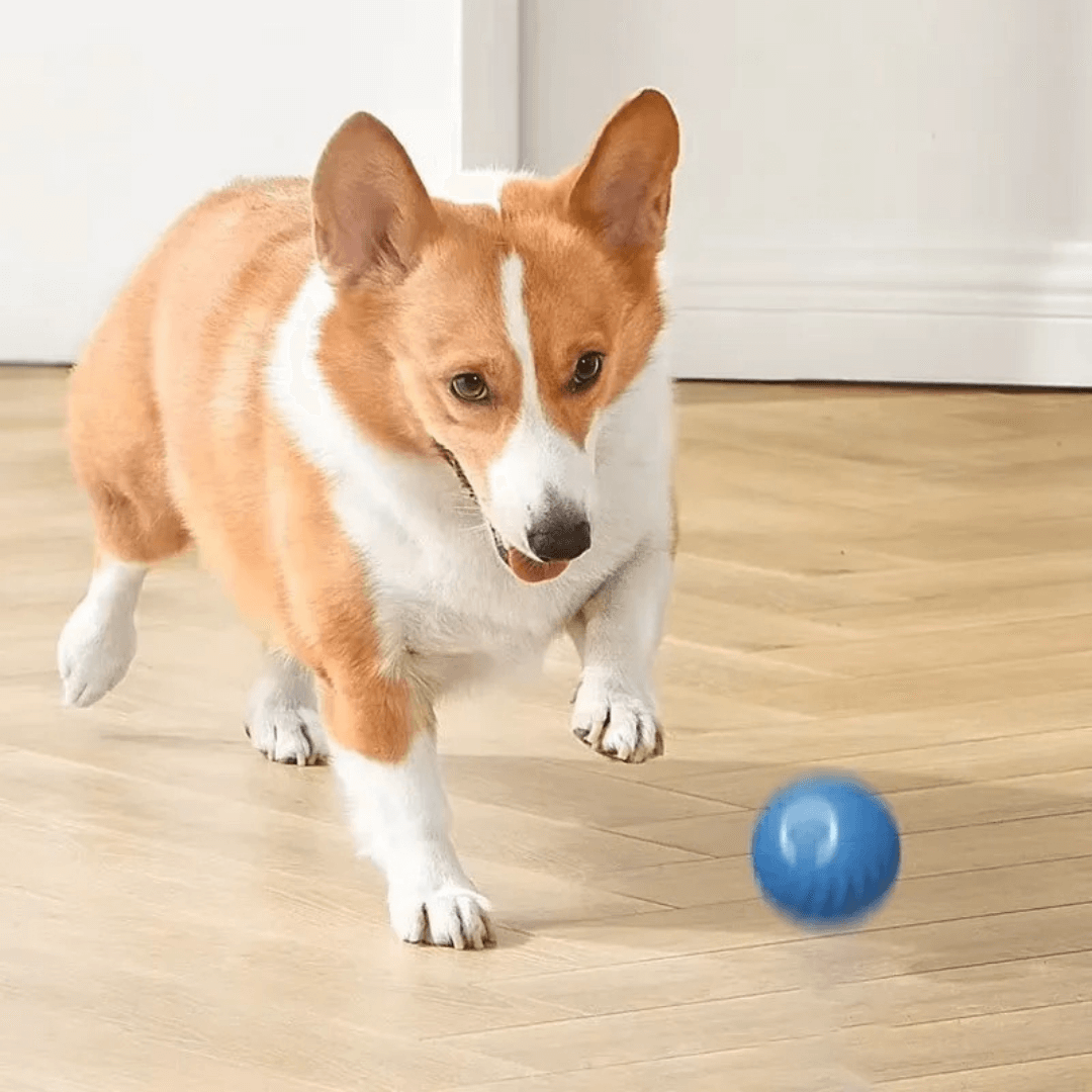Turbo Ball™ | Bolinha eletrônica