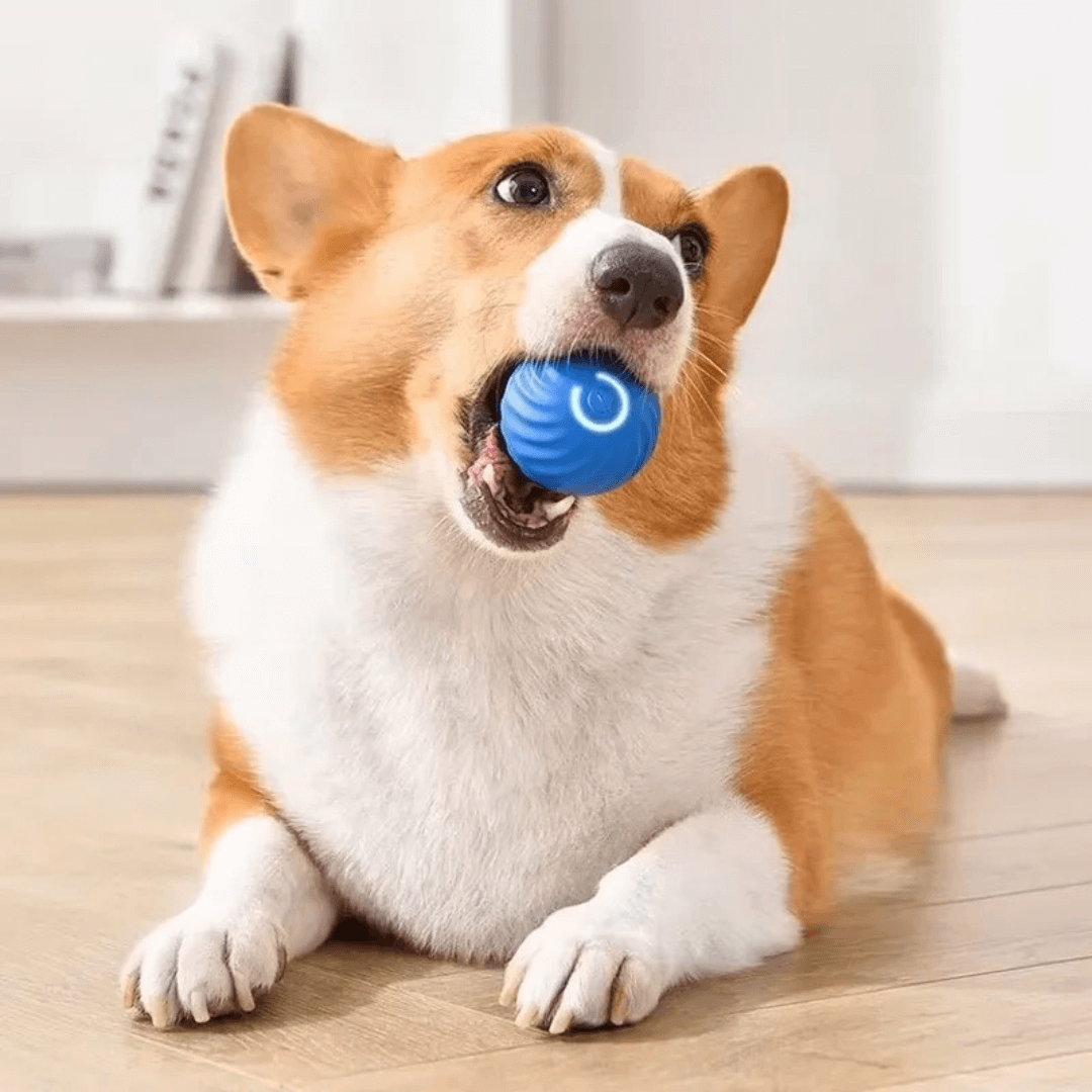 Turbo Ball™ | Bolinha eletrônica