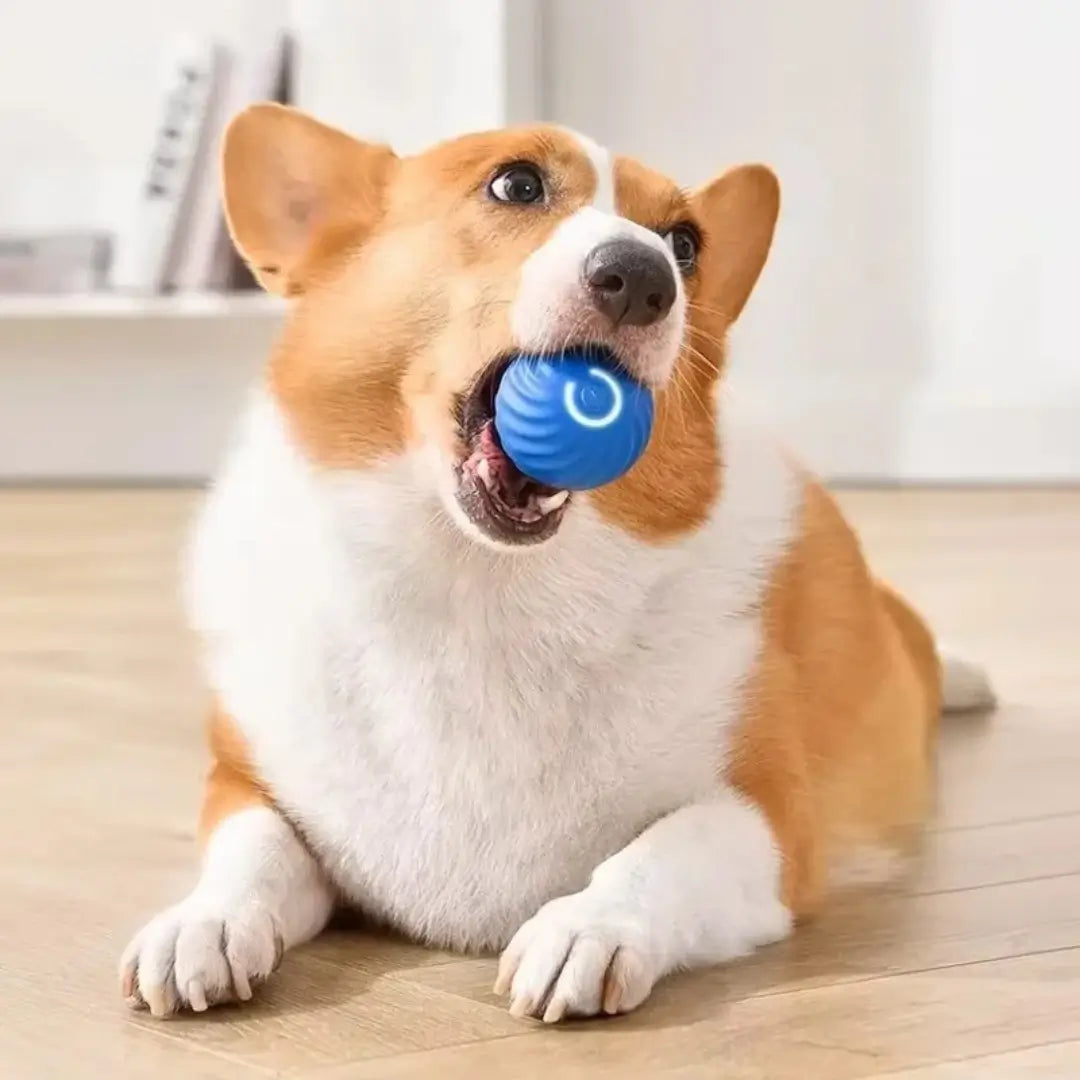 TurboBall™ | Bolinha eletrônica