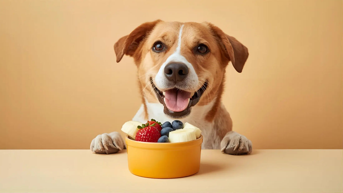 Cachorro curioso olhando tigela com frutas seguras (maçã, banana e blueberry).