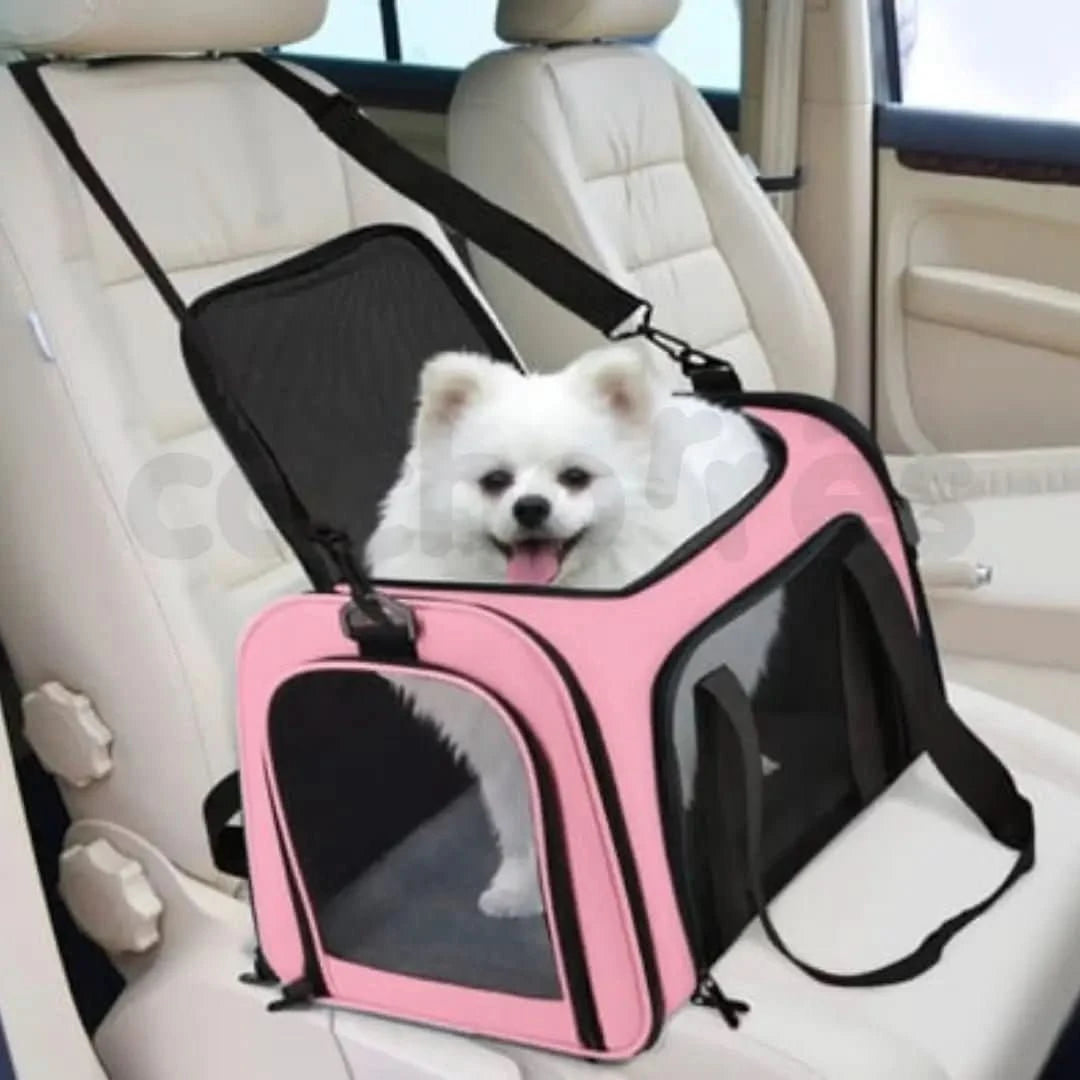 DogGo™ | Viagem sem stress - Cachorrês