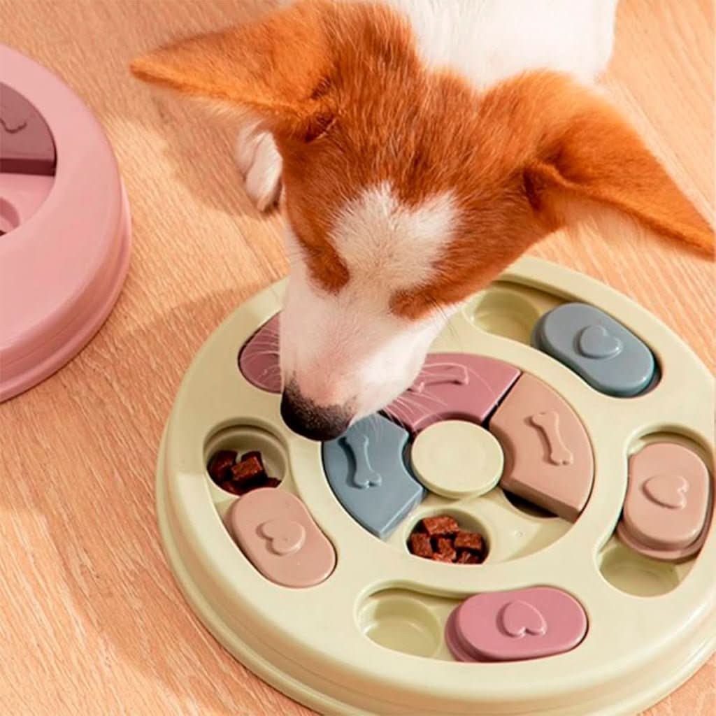 Mastiga Bem™ | Comedouro educativo lento - Cachorrês