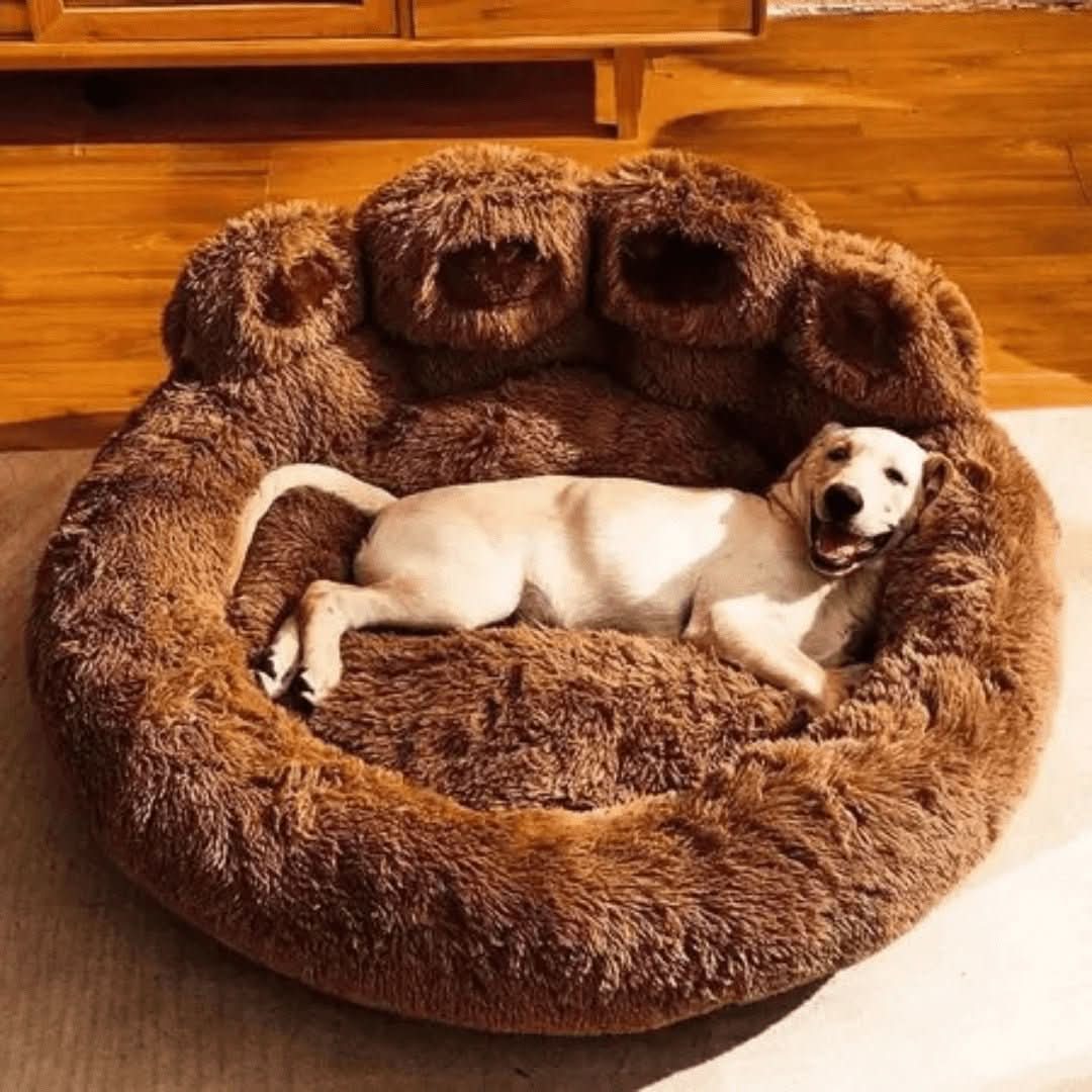 Pata Nuvem™ | Cama para cães - Cachorrês